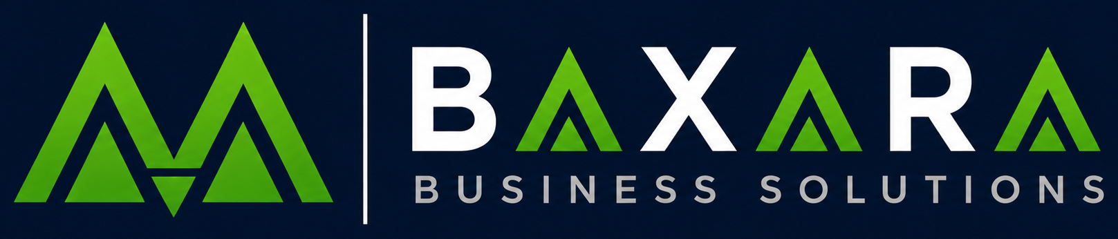 BAXARA Business Solutions