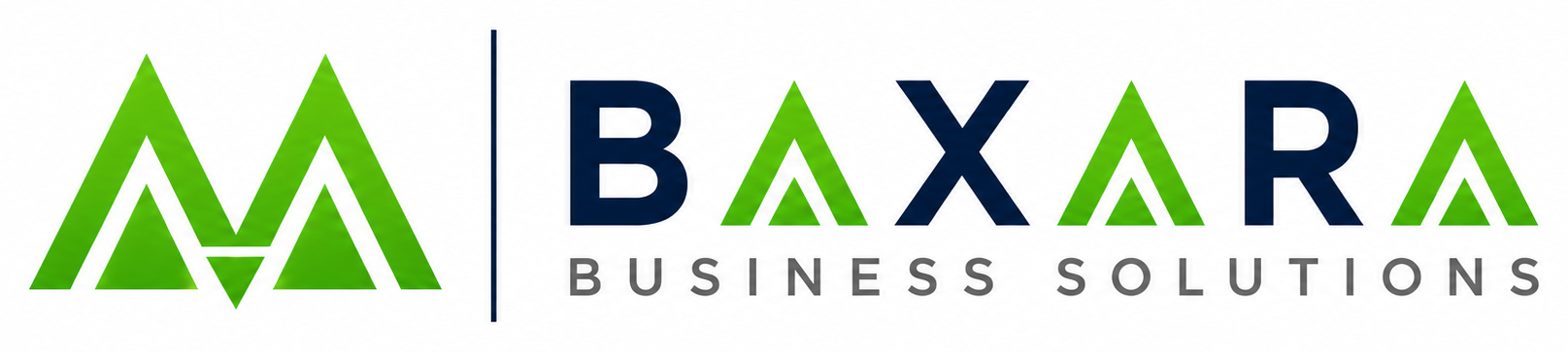 BAXARA Business Solutions